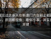 我见过太多人在新澳门六合彩上栽跟头，原因都很像：看似小事，其实是关键
