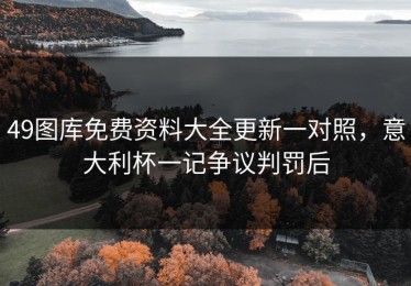 49图库免费资料大全更新一对照，意大利杯一记争议判罚后