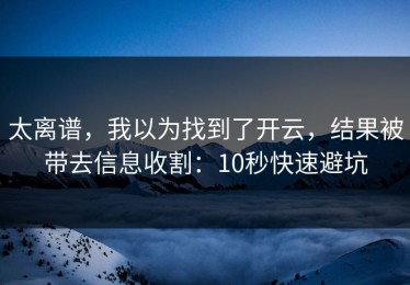 太离谱，我以为找到了开云，结果被带去信息收割：10秒快速避坑