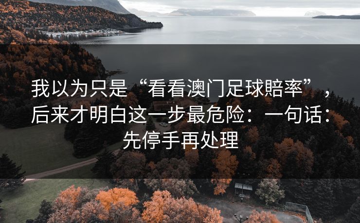 我以为只是“看看澳门足球賠率”,后来才明白这一步最危险:一句话:先停手再处理 我以为只是“看看澳门足球賠率”,后来才明白这一步最危险:一句话:先停手再处理