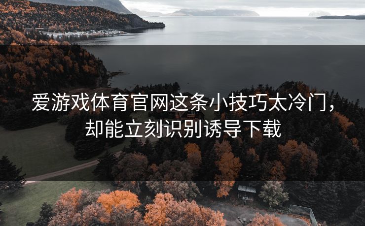 爱游戏体育官网这条小技巧太冷门，却能立刻识别诱导下载