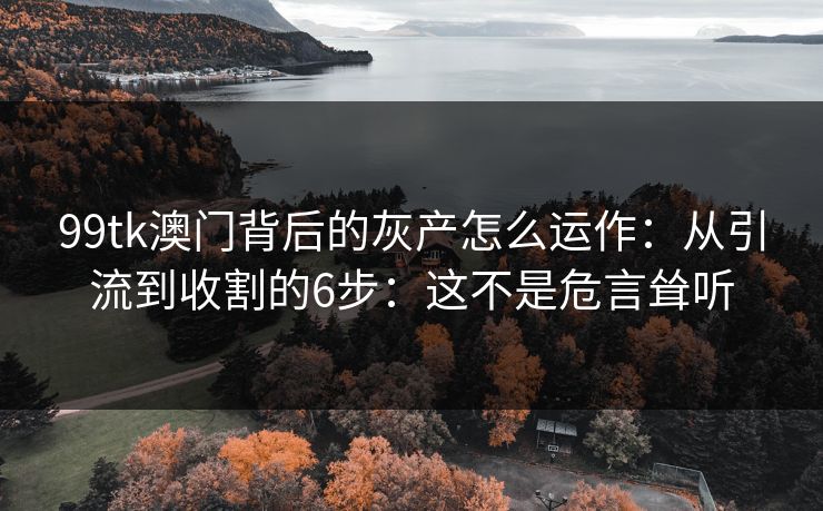 99tk澳门背后的灰产怎么运作：从引流到收割的6步：这不是危言耸听