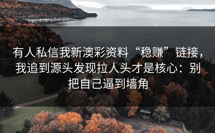 有人私信我新澳彩资料“稳赚”链接，我追到源头发现拉人头才是核心：别把自己逼到墙角